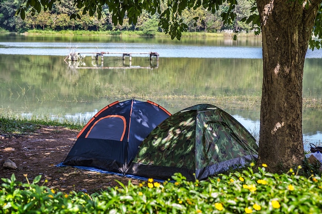 Camping em Green Park