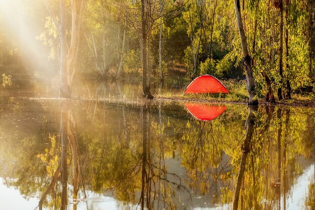 Camping in einem Wald. Morgenszene mit Touristenzelt im grünen Wald in der Nähe des Sees