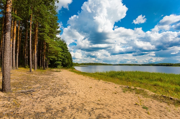 Camping junto al lago