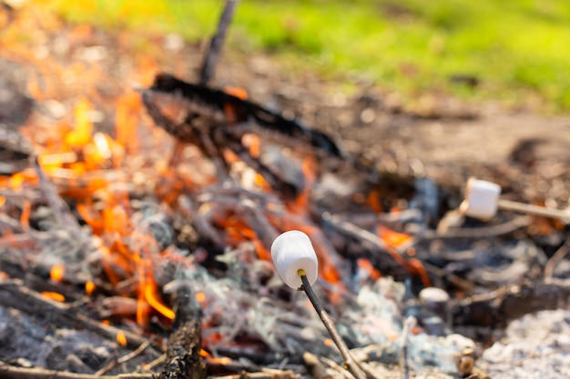 Camping Lagerfeuer, Marshmallows auf dem Scheiterhaufen braten