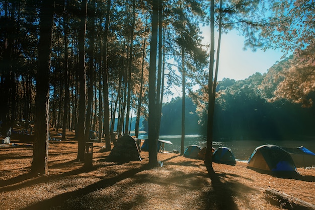 Camping en el río con salida del sol.