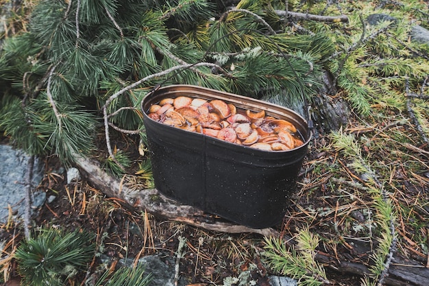 Camping-Topf mit leckerem Apfelkompott Outdoor-Lebensmittel Wildlife Lifestyle Kochen leckeres Essen Essen draußen Copyspace Stock Foto