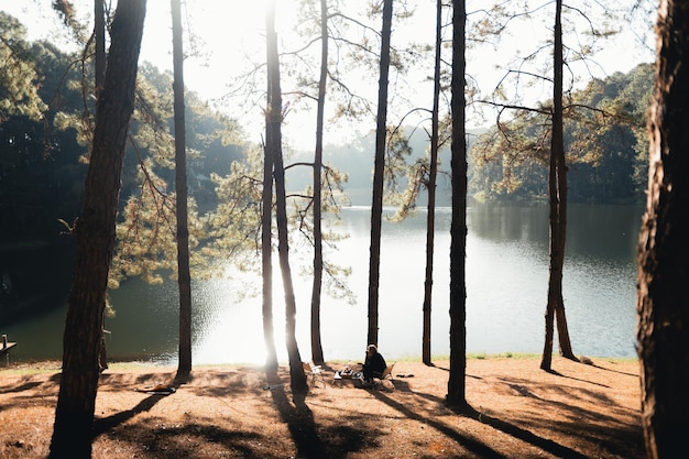 Camping und Kaffee in Pang Ung am Morgen Kaffee am Morgen unter den Bäumen und am Stausee