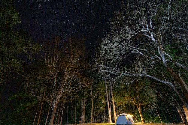 Camping und Zelt im Naturpark bei Nacht