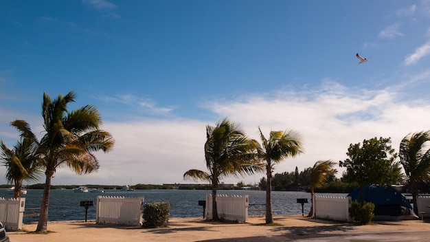 Campingplatz auf Stock Island, Florida.