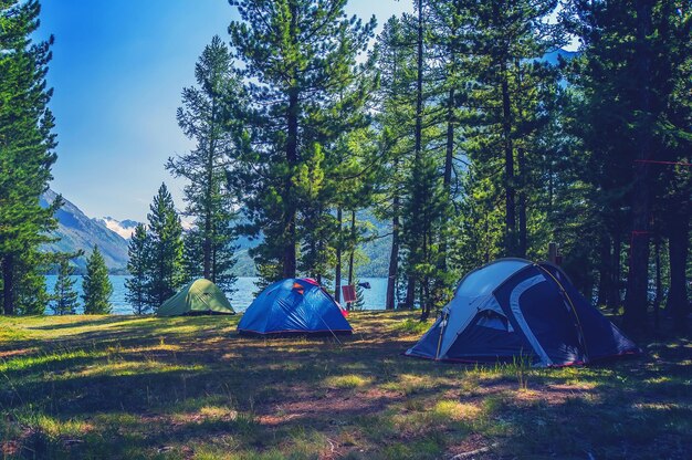 Campingzelt auf dem Campingplatz im Nationalpark. Touristen campierten im Wald am Ufer des Sees am Hang. Blick auf das Zelt auf der Wiese im Wald bei Sonnenaufgang. Camping-Hintergrund