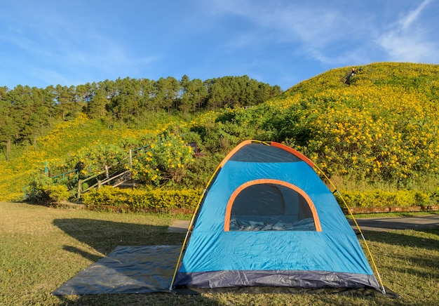 Campingzelt mit schöner Gebirgsnaturszene des wilden mexikanischen Sonnenblumenfeldes