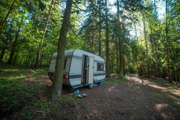 Campista en el bosque junto al lago