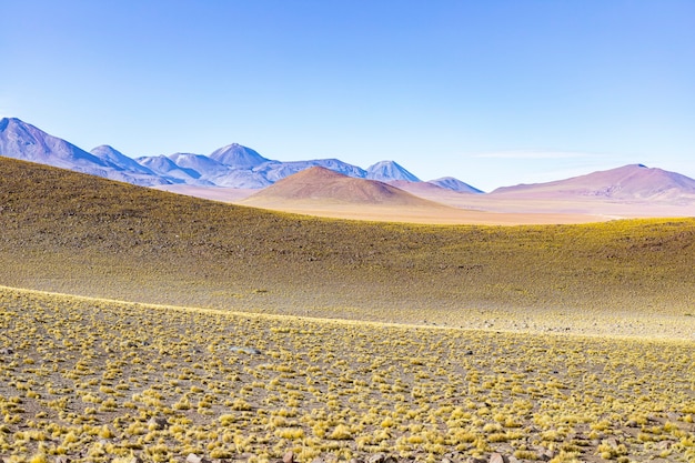 Campo aberto no deserto do atacama com montanhas ao fundo.