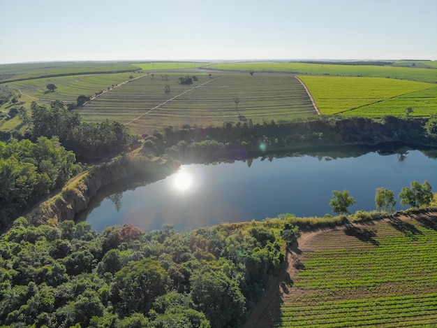 Campo aéreo de caña de azúcar en Brasil y hermoso lago