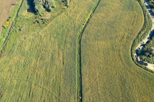 campo agrícola agricultura vista desde arriba drone disparar vista superior