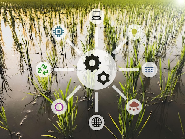 Campo agrícola con altas tecnologías e innovaciones en la agroindustria