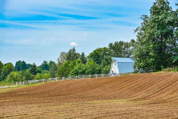 Campo agrícola antes de la temporada de siembra Campo agrícola arado