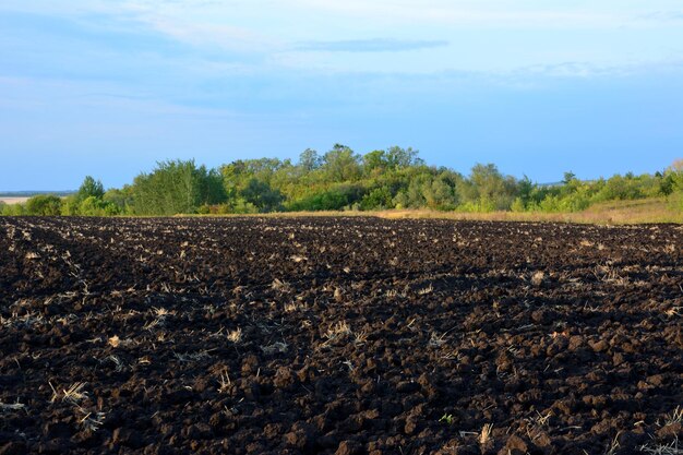 campo agrícola arado con bosque verde y cielo azul en el espacio de copia de fondo