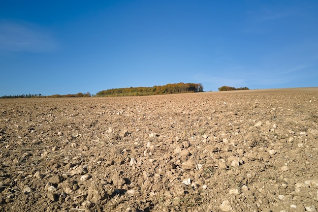 Foto campo agrícola arado com solo fértil cultivado preparado para plantar na primavera
