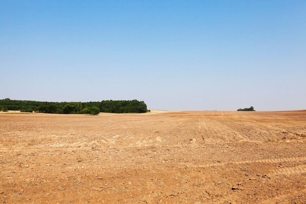 Campo agrícola arado después de la cosecha