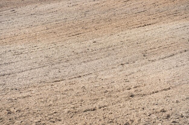 Campo agrícola arado Un lugar ecológicamente limpio para el cultivo de cereales