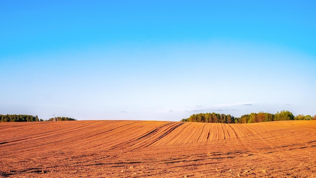 Foto campo agrícola arado sob os raios do sol da tarde cores quentes ricas
