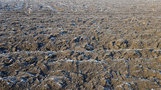 Foto campo agrícola arado por tractores. se ha arado el campo, se han sembrado las cosechas. cerca de la textura del suelo. escena rural. industria agroalimentaria. tierra cultivable de chernozem.