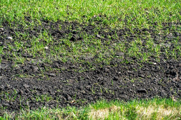 Campo agrícola arado Um local ecologicamente limpo para o cultivo de grãos