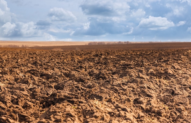 Campo agrícola arado