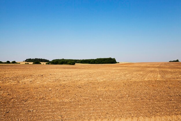 Campo agrícola arado