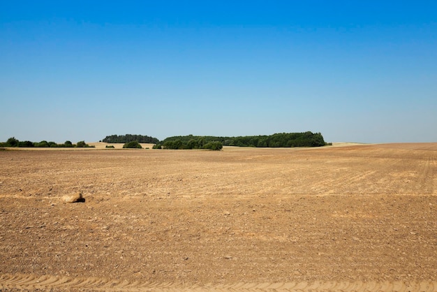 Campo agrícola arado