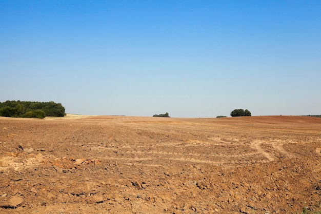 Campo agrícola arado