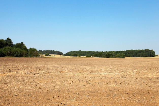 Foto campo agrícola arado