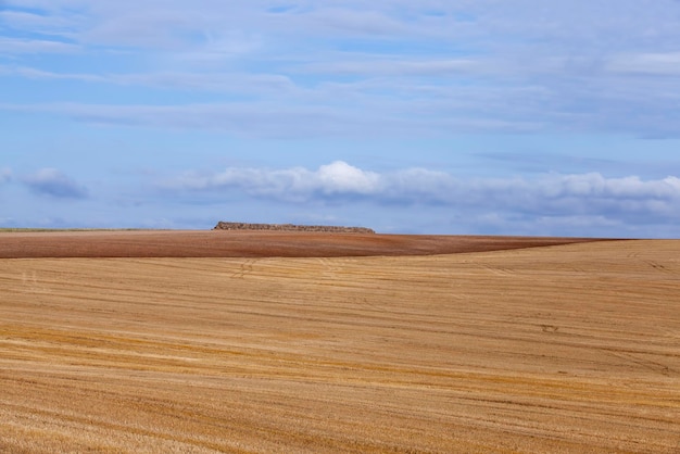 Campo agrícola com pilhas de palha após a colheita do trigo