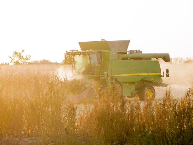 Foto campo agrícola contra un cielo despejado