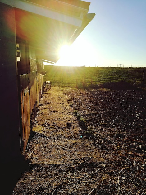 Campo agrícola contra o céu