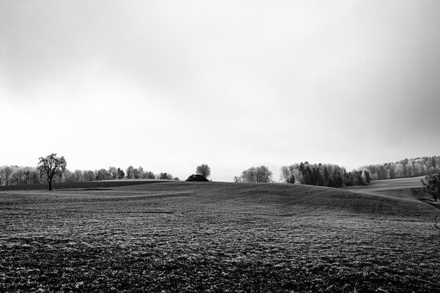 Foto campo agrícola contra o céu