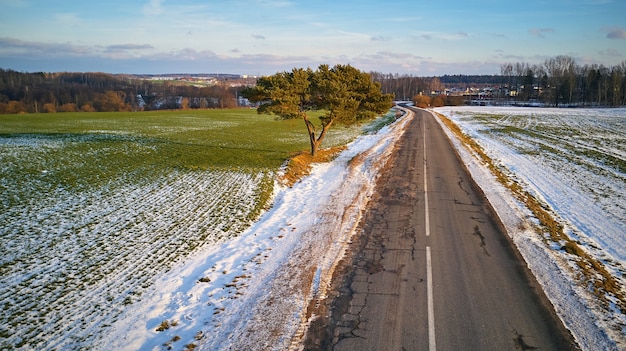 Campo agrícola de inverno sob a neve. Vista aérea da estrada do campo. Pinheiro solitário perto da garagem. Dezembro Paisagem rural. Região de Minsk, Bielo-Rússia