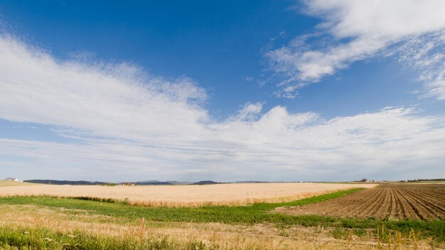 Campo agrícola em Fort Collins, Colorado.