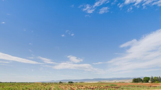 Campo agrícola en Fort Collins, Colorado.