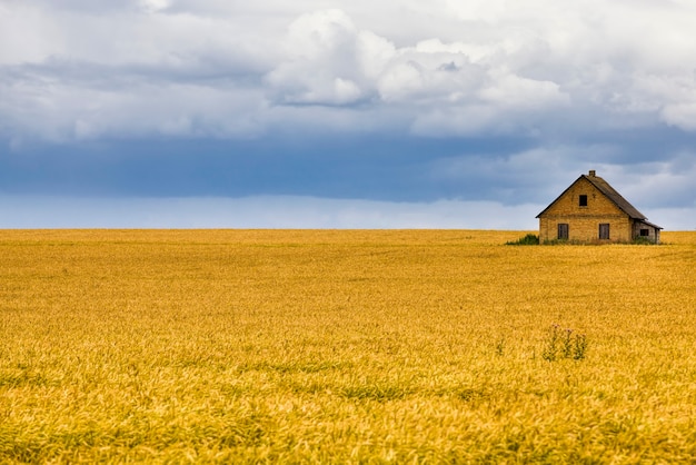 Campo agrícola con granja en el medio.