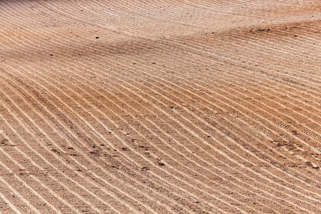 Campo agrícola, pronto para o plantio de safras.