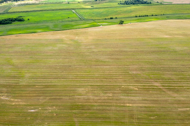 campo agrícola sembrado vista desde arriba