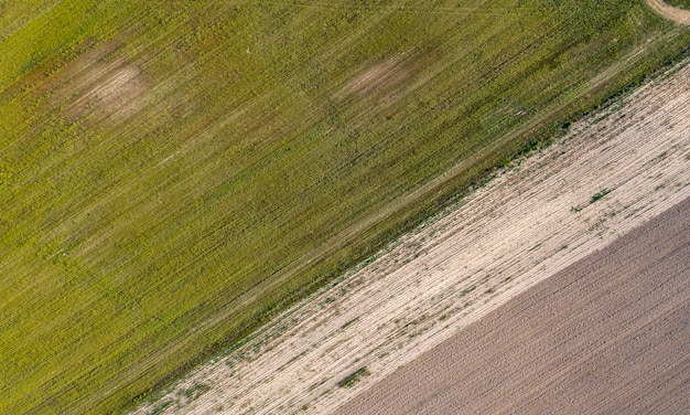 campo agrícola sembrado vista desde arriba