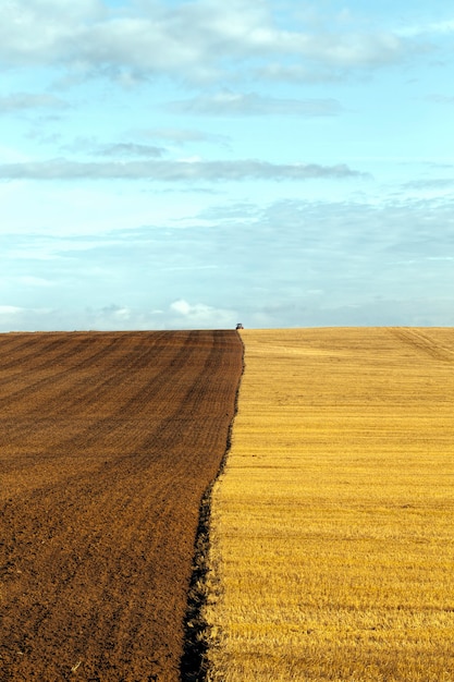 Campo agrícola de suelo fértil arado que se cultiva para una buena cosecha de productos agrícolas