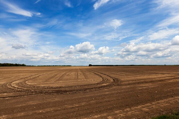 Campo agrícola vazio