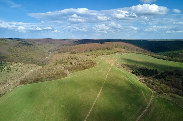 Campo agrícola verde con cultivos en crecimiento en la temporada de verano Agricultura y industria agrícola