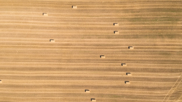 Campo agricola a vista de dron