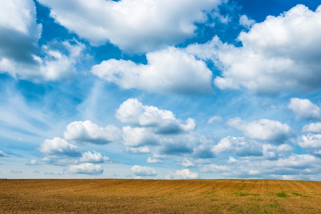 Campo de agricultura y cielo azul con nubes.