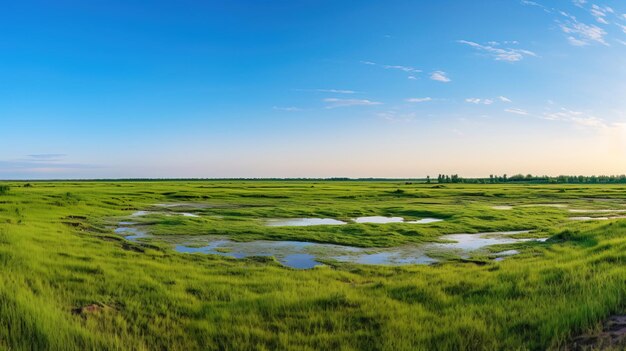 un campo con agua y cielo en el fondo