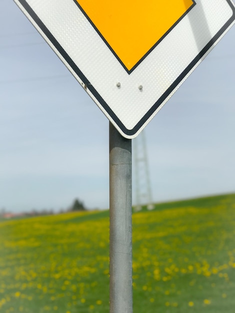 Foto campo amarelo contra o céu