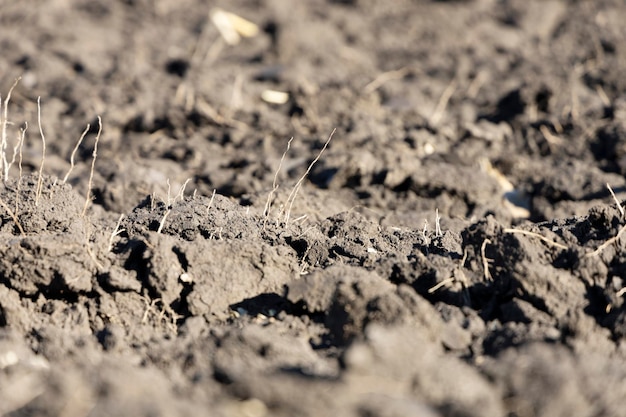 Campo após a colheita. Terra arada. Chernozem de perto