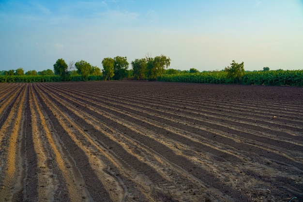 Campo arado. agricultura, solo antes da semeadura. textura de terra fértil, paisagem de campo rural.