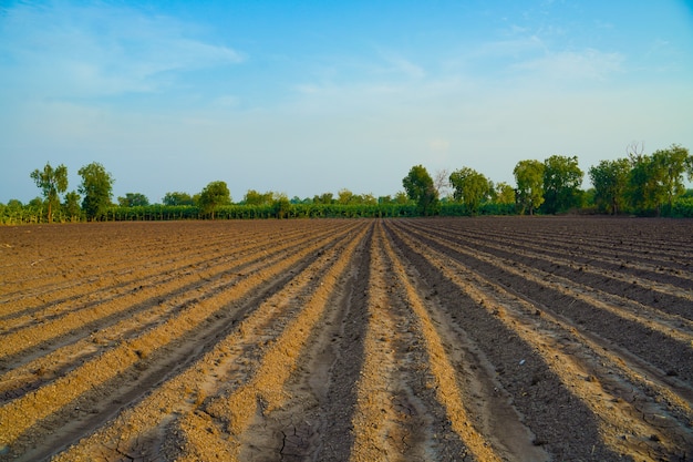 Campo arado. Agricultura, solo antes da semeadura. Textura de terra fértil, paisagem de campo rural.